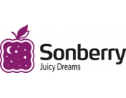 фабрика "Sonberry" /Сонберри/ г.Шатура фабрика "Sonberry" /Сонберри/ г.Шатура