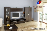 Гостиная Патриция 11